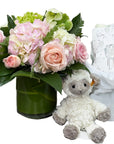 Congratulations New Baby (More Choices)