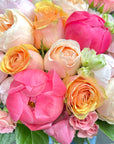 Designer's Choice (Varying sizes and colors)