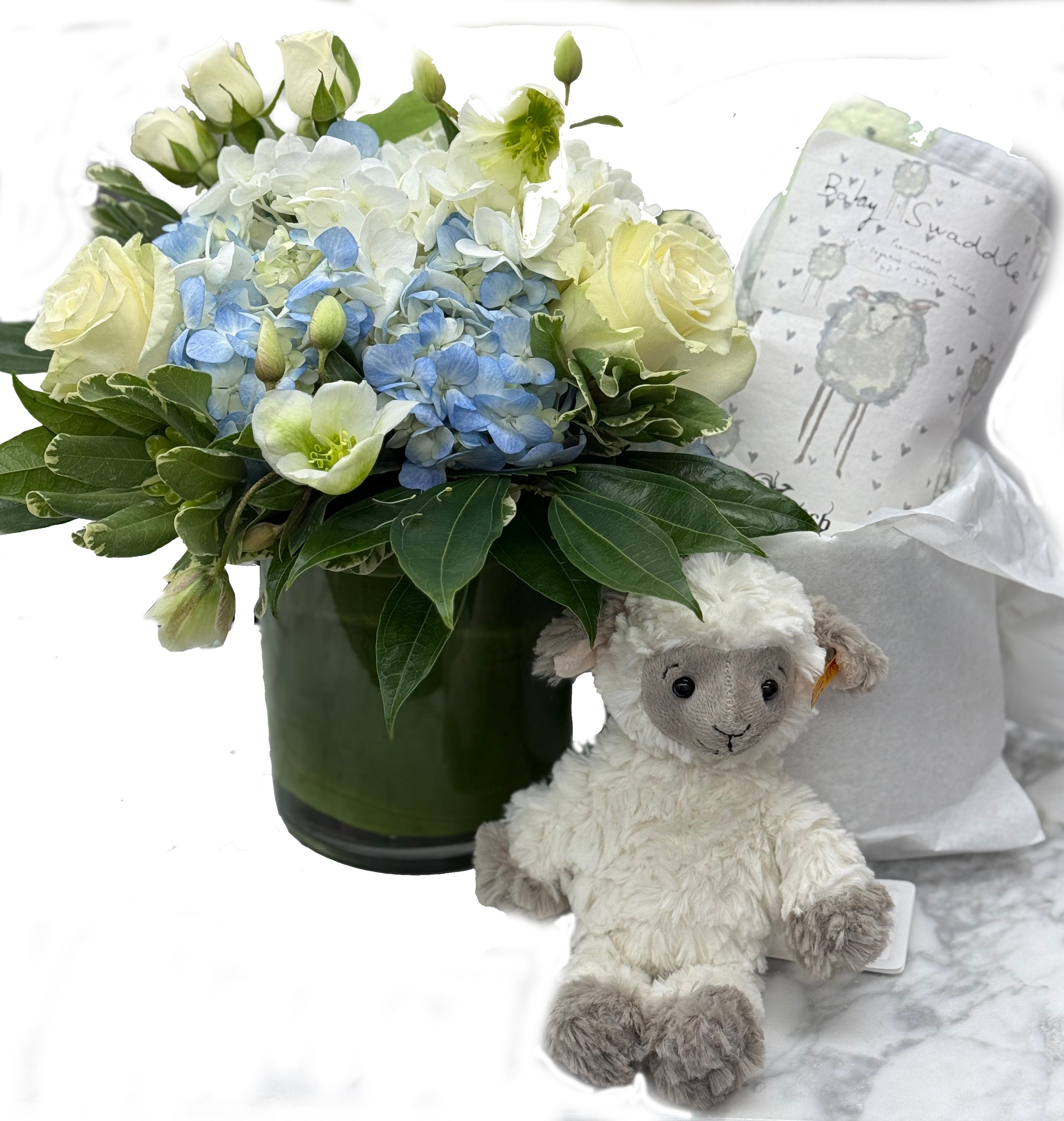 Congratulations New Baby (More Choices) – Lane Florist