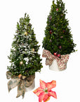 Christmas Tree (choices)