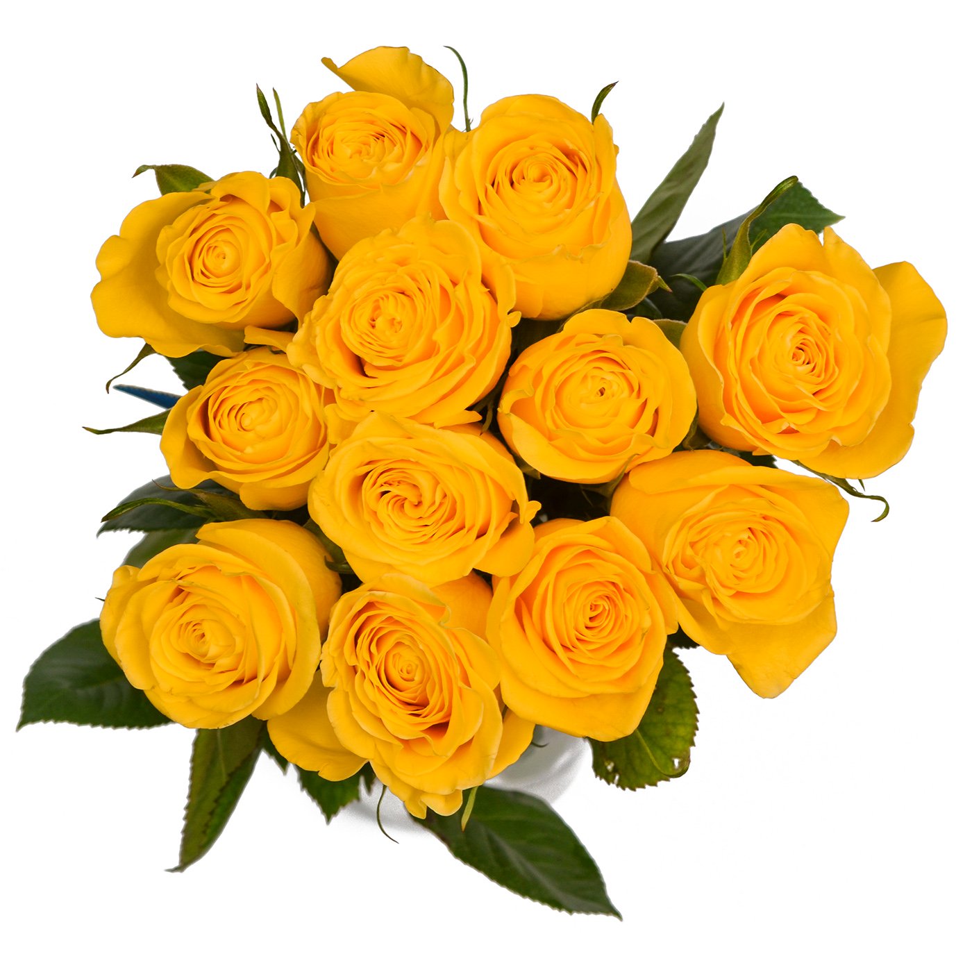 Roses One Dozen (More Colors)